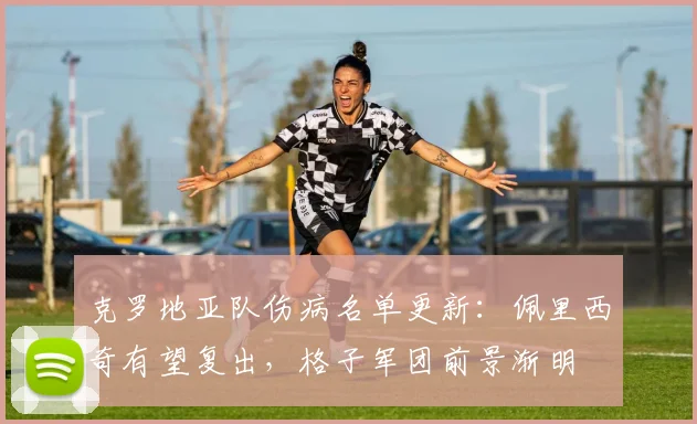克罗地亚队伤病名单更新：佩里西奇有望复出，格子军团前景渐明
